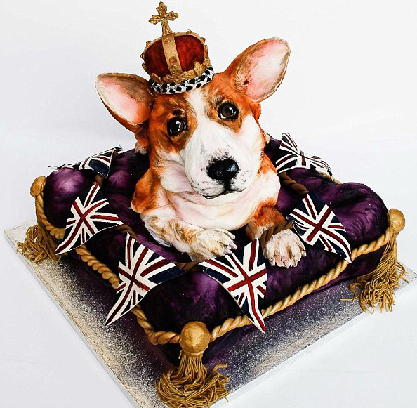 Every Dog Has Its Cake!